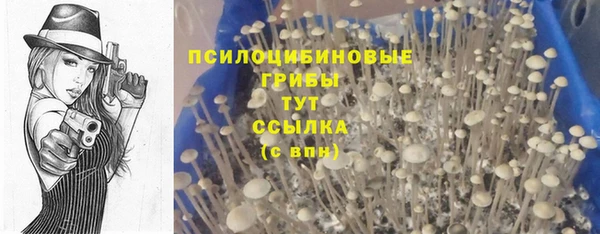 кокс Нефтекумск