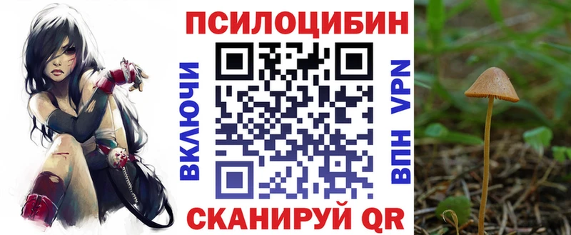 Галлюциногенные грибы Cubensis  Купить закладки  Чёрмоз 